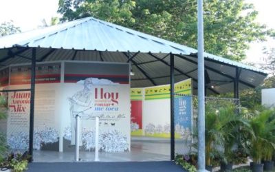 Hoy también contar me toca