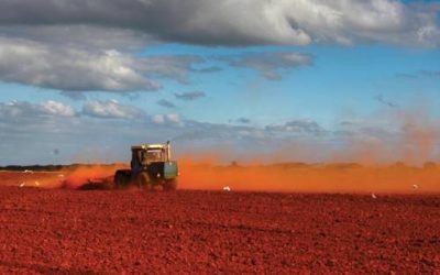 Dos años de Fotosafaris